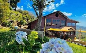 Casa 1800 Los Naranjos Boutique Hotel